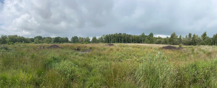 Zukünftiges Flachwasserbitop in Victorbur