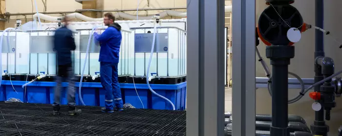 Pilotanlage zur Lithiumgewinnung in der Altmark von Neptune Energy 