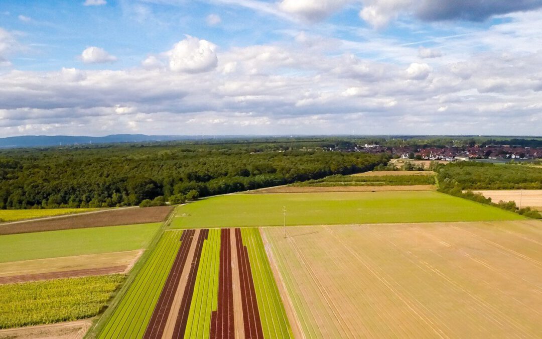 Erdölaufsuchung in Schwegenheim