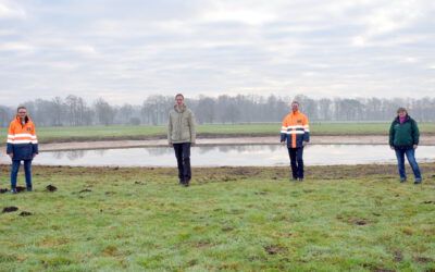 Mehr Lebensraum für Amphibien im Gildehauser Venn