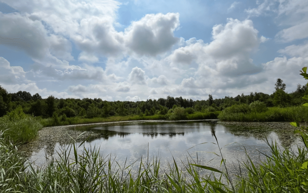 Startschuss für den Bau neuer Flachwasserbiotope